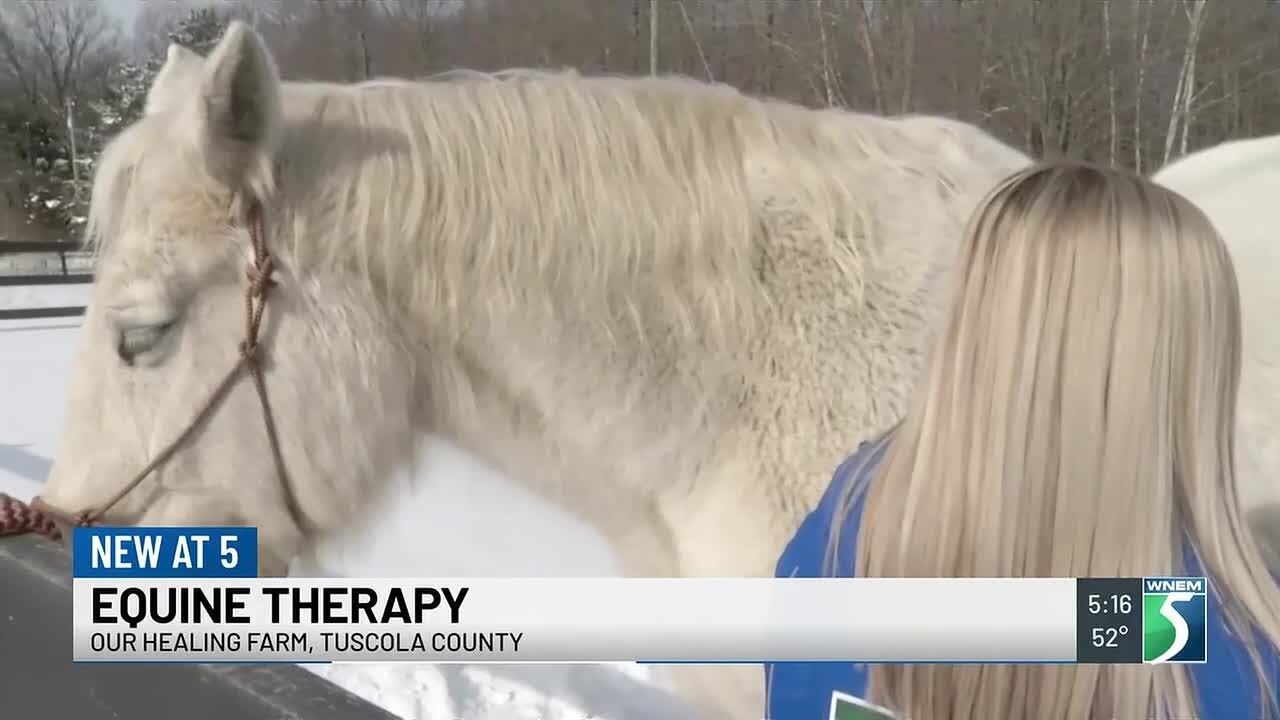 Иппотерапия