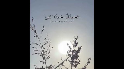 قل الحمد لله - اجمل حالات واتس اب قرآن كريم🌸💛| تلاوه تنسيك هموم الدنيا كلها