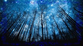 Video thumbnail of "Midnight odyssey - Themes Of Forest And Firmament"