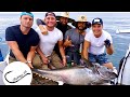 Pêche au thon rouge saison 2021 très beau poisson