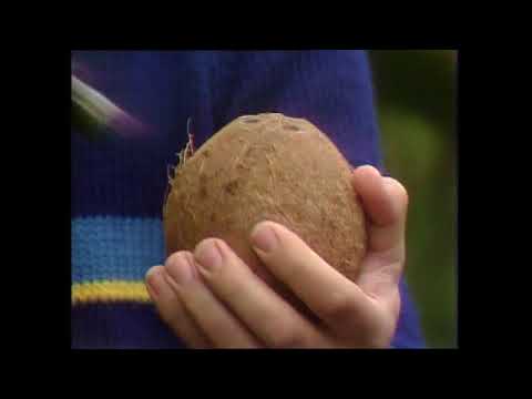 How to Crack Coconuts