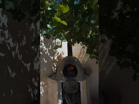 البنة ديال هاد الفران 🔥 قليل لي ديقها الفيديو كامل من هنا 👆