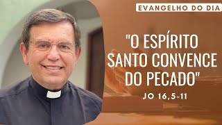 EVANGELHO DO DIA 07/05 (3ª feira): O ESPÍRITO SANTO CONVENCE DO PECADO Jo 16,5-11