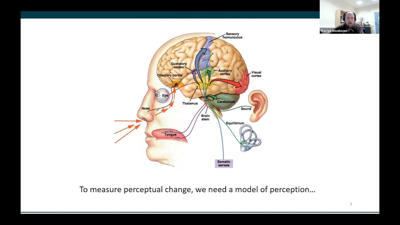 Dr Warrick Roseboom "Time perception as accumulation of salient events