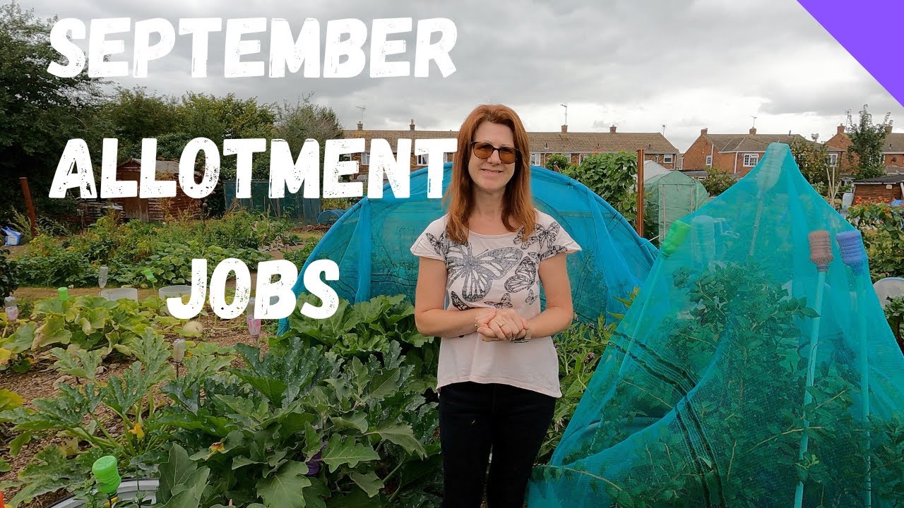 Allotment Jobs For September - Allotment Gardening For Beginners UK ...