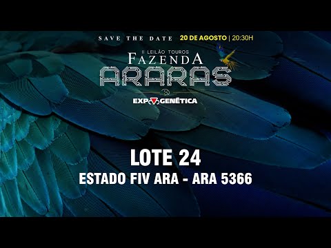 LOTE 24 ARA 5366