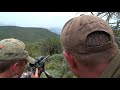 Eland and White Blesbok Plains Game Hunting in South Africa