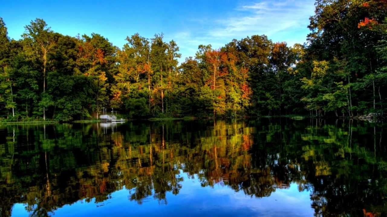 Fall in the Uwharrie Mountains and National Forest on Badin Lake, High