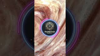 Sonic Distortion #shorts | @pametar_music  #pametar_music #melodicphonk #electronicmusic