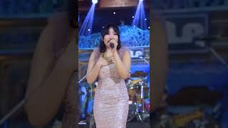 Download Lagu CINTA BERAWAN - LUSYANA JELITA ADELLA | #lusyanajelita #adella  #dangdut #shorts #trending MP3