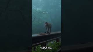 no word just feel ☺️ this nature #travel #indiantraveller #travelindia #tourists #travelvlog #fypシ