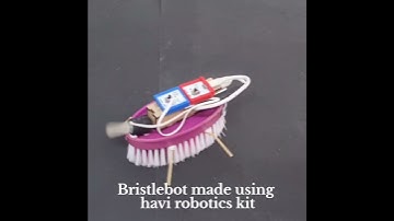 Easy DIY Bristlebot made using Havi Elements - DIY Robotics Starter Kit