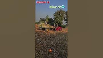 Jats 👍 #shorts #jaat #jatt #jutt