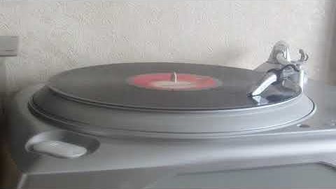 Bad Manners - Samson And Delilah ( Biblical Version ) ( Magnet ).