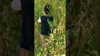 Chirping Of Birds Is Real