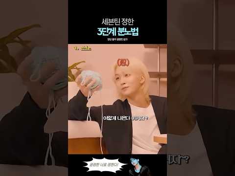세븐틴 정한의 분노단계는 소노•중노•대노로 나눠져있다