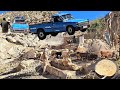 Taking care of sheep, a mountain farm, and the adventure of taking a car to the city | Iran nomads