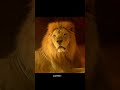 The First Battle for Survival | When Early Humans Faced the Prehistoric Lion