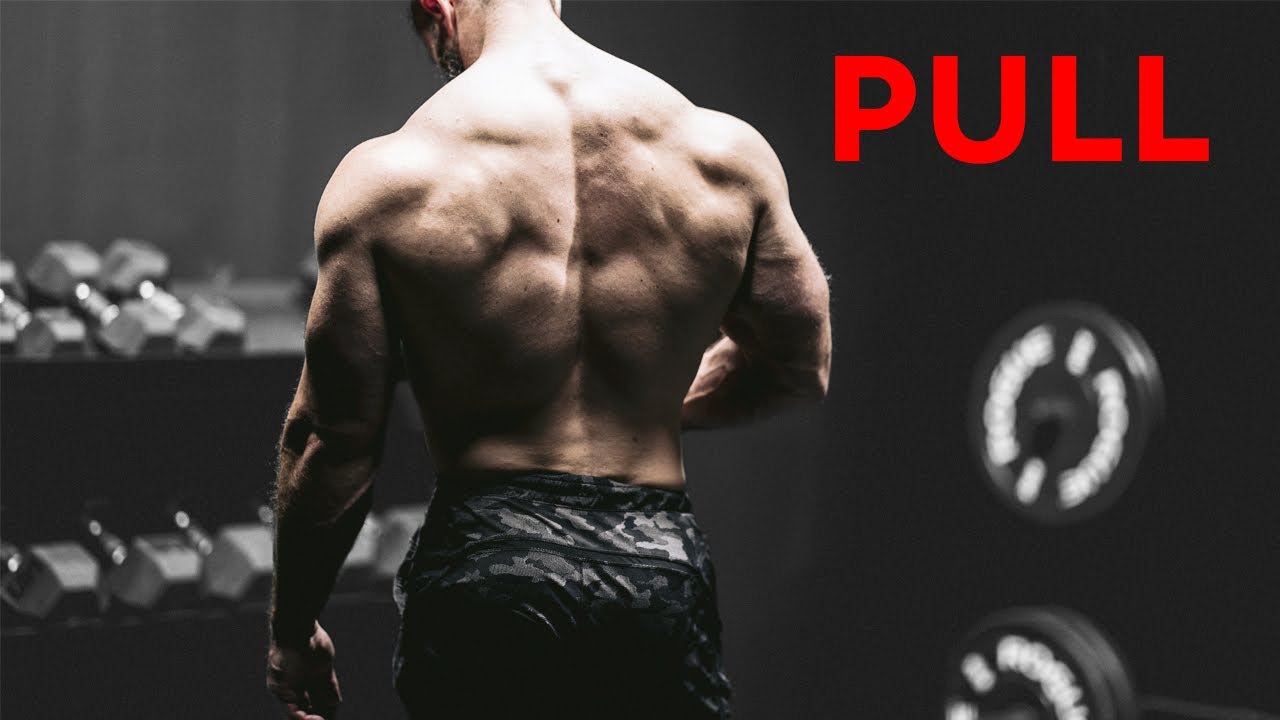 Best Pull Workout For Massive Growth Back Biceps Rear Delts