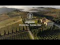 Argiano - Brunello di Montalcino: Vintage 2015