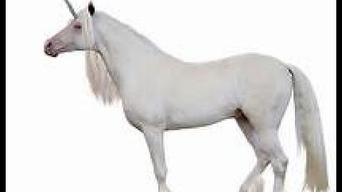 Sitecore unicorn installation