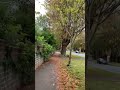 Walk with me