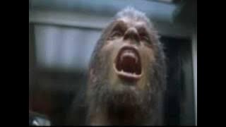 werewolf transformations 1- 'animal I have become'