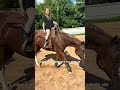 Not the hair… #horse #helpmemakethismakesense #horseenthusiast #equestrian #butifyoucloseyoureyes