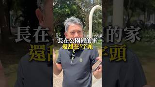 桃園中路重劃區 雙北朋友超愛 #長公園裡的家 只要5字頭！