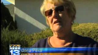 Surrounded bank robber apparent suicide
