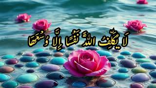 Download Lagu Surah Al-Baqarah Last 2 Ayats (285–286) | Qari Saad Al-Ghamdi | روح کو سکون دینے والی تلاوت MP3 Download Lagu Surah Al-Baqarah Last 2 Ayats (285–286) | Qari Saad Al-Ghamdi | روح کو سکون دینے والی تلاوت MP3