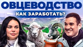 Как получают лучших овец? Овцеводство как бизнес. Овечье молоко и баранина. Андрей Даниленко