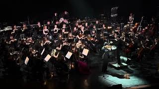 Н.Паганини Кампанелла для скрипки с оркестром
