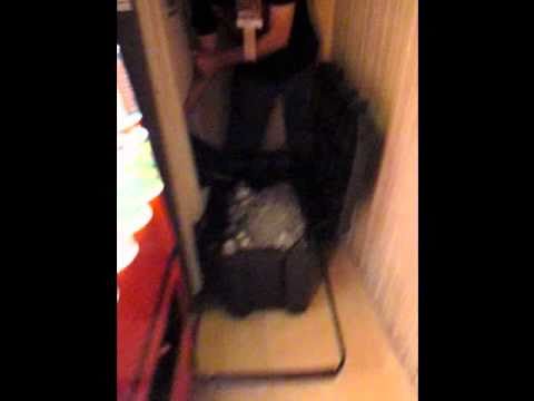 video phone beyonce mp3 Ice Magic Dragon Con 2010