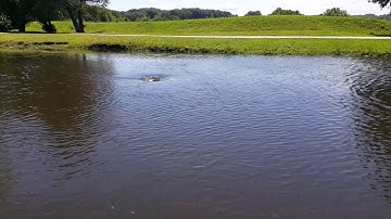 Opening a plugged overflow pipe, pond flooding