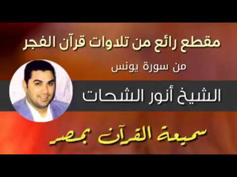 تحبير رائع وخشوع روحاني عجيب في سورة المائدة القارئ الشيخ محمود الشحات أنور  تحبير رائع وخشوع روحاني عجيب في سورة المائدة القارئ الشيخ محمود الشحات أنور