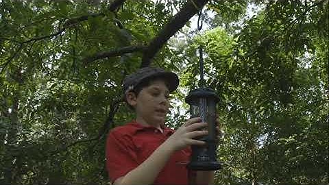 Module 3 Activity: 4 Clip Edit