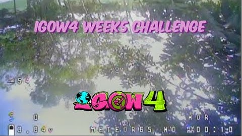 #igow4 Igow Week5 Orqa MattyFlips