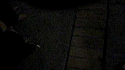 LTA, Gamma Lambda chapter Spring 2010 Coming out show 2