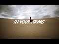 ILLENIUM X Ambassadors In Your Arms Lyrics Alan Walker Remix mp3
