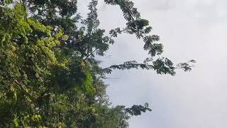 #sky#clouds#blue sky#sunset#sunrise#twilight#dusk#dawn#starry sky#night sky#sky timelapse#aerial 