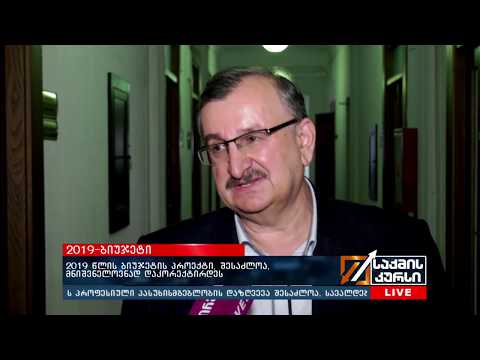 2019 წლის ბიუჯეტის პროექტი,შესაძლოა მნიშვნელოვნად დაკორექტირდეს