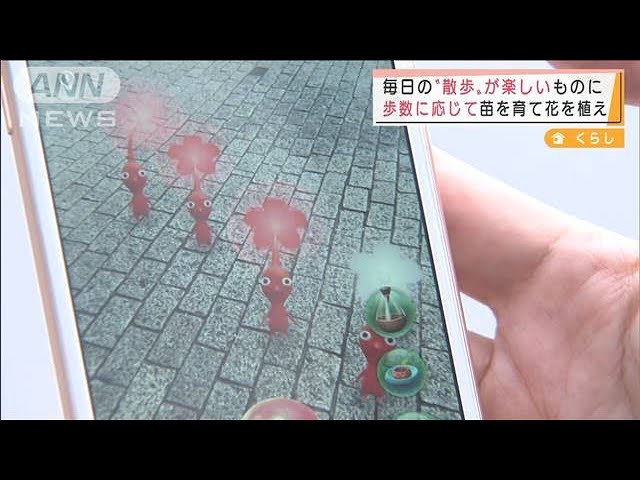 ポケモンの次は ピクミン 新街歩きゲーム登場 21年11月1日 Youtube