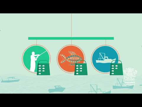 Fishing Quota