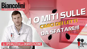 Come si uccidono le cimici dei letti?