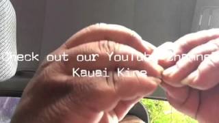 Kauai Kine plug