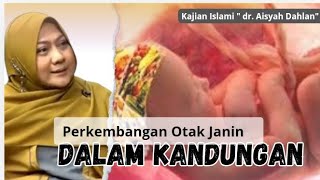 PERKEMBANGAN OTAK JANIN DALAM KANDUNGAN - KAJIAN ISLAMI - dr. Aisyah Dahlan