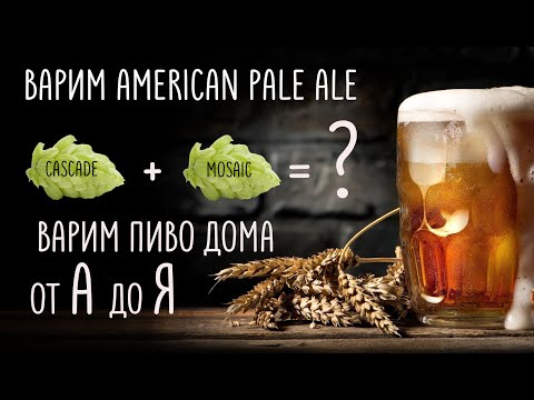 American Pale Ale. Варим пиво дома АПА.
