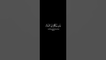 امن يبدأ الخلق ثم يعيده -  اسلام صبحي  🖤 سورة النمل