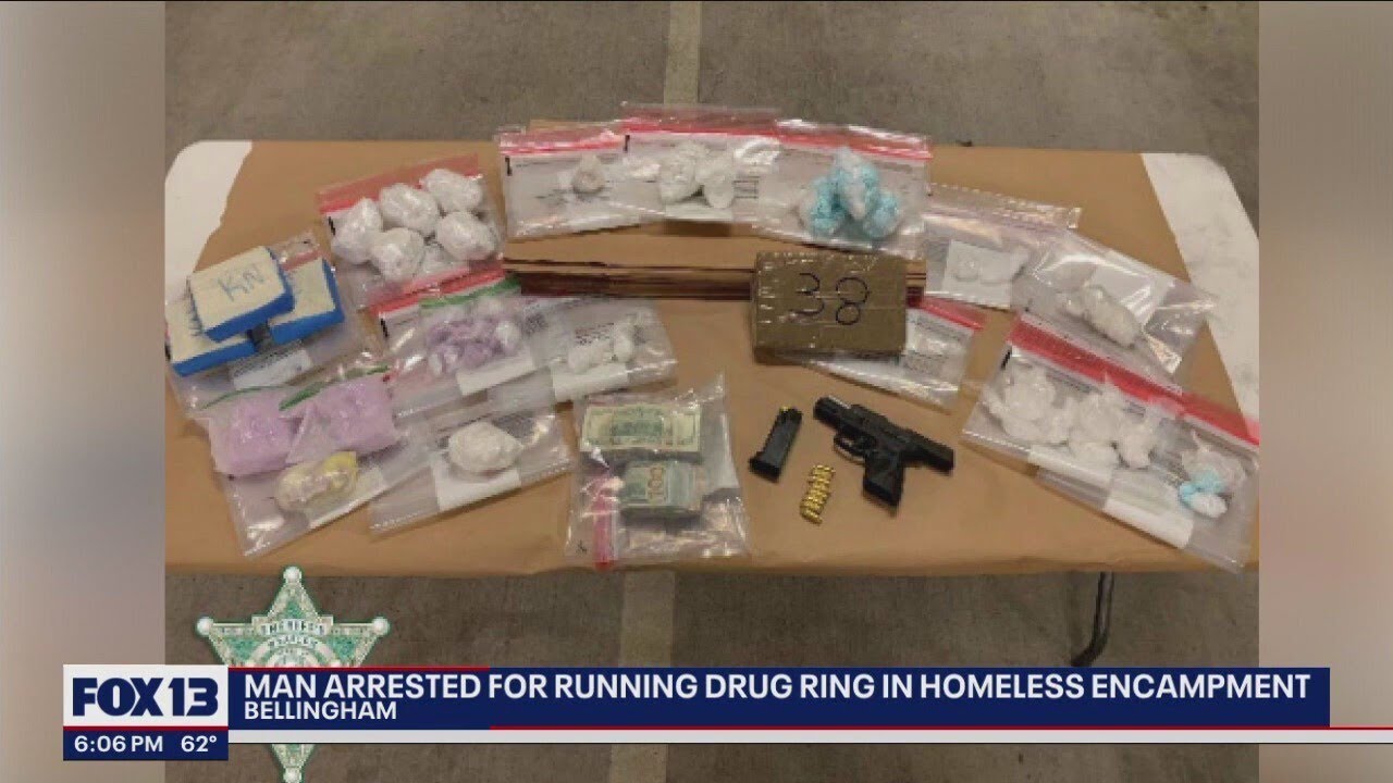 Man arrested for running drug ring in homeless encampment | FOX 13 ...